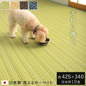 ラグ 洗える カーペット 長方形 防ダニ 「 バルカン 」 団地間10畳 約425×340cm ペット 犬 猫 グリーン ベージュ ブラウン ネイビー 和風 ポリプロピレン い草調 ござ 10畳 マット 厚手 和室 赤ちゃん