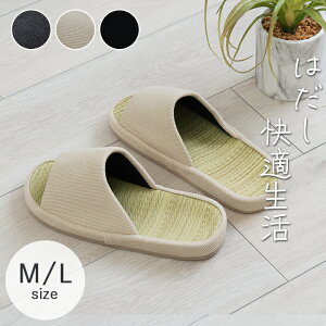 Xbp ėp   Xbp u XAu RtH[gv MTCY LTCY [W[Y Ȃ   Y fB[X j  am wl  Vv J