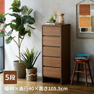 yȃN[|zzz `FXg 5i ^X e 5i`FXg u J v 40cm [ m^X ؐ rO`FXg RpNg o l炵  k Vv V