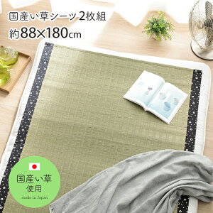  V[c VO Q Y ˂ { F{Y 1Pi 2g u } v  88×180cm 5FWJ  C COT V[c VO ėp ~pbh  Q lSU  