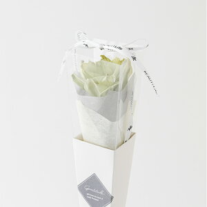 母の日 プレゼント フラワー ギフト 花 「 ソラフラワー シングルステム 一輪タイプ 」 母の日 サンクスギフト プレゼント 贈り物 誕生日 記念日 結婚式 プチギフト アレンジメント SDGs