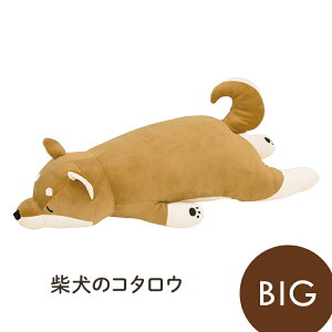 ������ �ʂ������ �u �v���~�A���˂ނ˂ރA�j�}���Y �����܂���BIG �v�V���N�} �Č� �J���E�\ ��Ԃ͂��� �N�b�V���� �v���[���g �M�t�g �q�� �}�^�j�e�B ������ ���킢�� �傫��