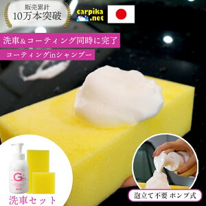 �J�[�s�J�l�b�g G���[�h�X�|���W�Z�b�g �J�[�V�����v�[ �R�[�e�B���O 500ml G���[�h ��ԃX�|���W �A ���� �V�����v�[ �J�[�R�[�e�B���O ��_�� ��� ������ �� ��� �����e�i���X �S�F�Ή� 