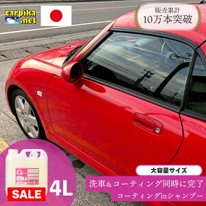 ubNtCf[ʉiy30%OFFz g[h lߑւ e yz G[h 4000ml J[Vv[ R[eBO A  Vv[ J[R[eBO _  C ԃZb