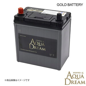 AQUA DREAM/�A�N�A�h���[�� GB-S34B20L ���Y�ԗp �n�C�u���b�h�ԕ�@�p�o�b�e���[ GOLD BATTERY AGM�^�C�v 1�� AD-GB-S34B20L 4549277016322