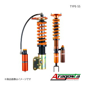 Aragosta ASX^ Sԍ TYPE-SS3 1䕪 XJCCGT-R BNR32 3AAA.N1.S2.000