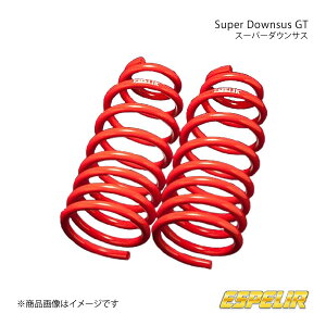 Espelir GXyA Super Downsus GT tg Ry L880K H14/6` i:ESD-442F