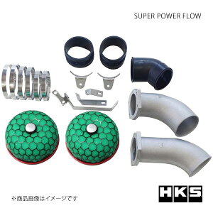 HKS �G�b�`�E�P�[�E�G�X �X�[�p�[�p���[�t���[ �X�J�C���C��GT-R BCNR33 70019-AN107