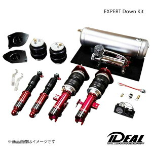 IDEAL CfA EXPERT Down Kit/GLXp[g_ELbg 4֓Ɨdl tFAfBZ Z33 i:AR-NI-Z33