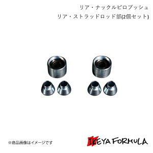 IKEYA FORMULA CPtH[~ AEibNsubV AEXgbhbh(2Zbg) NE JZS17# IFAP05012