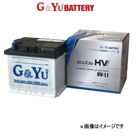 G&Yu バッテリー エコバHV 寒冷地仕様 レクサスCT200h DAA-ZWA10 HV-S46B24R G&Yu BATTERY ecoba-HV