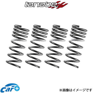 ^ix _ETX VrbNTYPE-R FL5 GT FUNTORIDE SPRING AEZbg(FK8FR×2)TANABE XvO TXyV