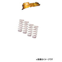 楽天市場】fhg 2500の通販