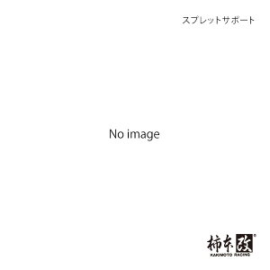 `{ JLg XvbgT|[g XJCC GT-R E-BCNR33 1995/1`1999/1 GOP302