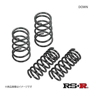 RS-R A[GXEA[ RSR DOWN _ETX Zi GC27 H28/8` (2016/8`) vpCbgt N700W