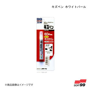 SOFT99/\tg99 LYy zCgp[ 08052 JAN:4975759080527