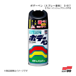 SOFT99/\tg99 {f[y(Xv[h) S-817 yXYLEZJ3Eu[CbVubNP3z 08817 JAN:4975759088172