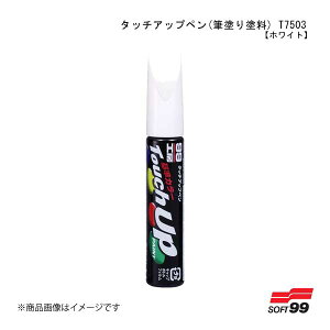 SOFT99/\tg99 ^b`Abvy(Mhh) T7503 yg^/NTXE068EzCgz 17503 JAN:4975759175032