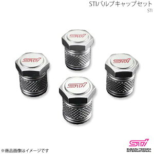 STI GXeB[AC STIouLbvZbg CvbT GP 5hA AvCh:A/B/C/D/E ST28102ST030