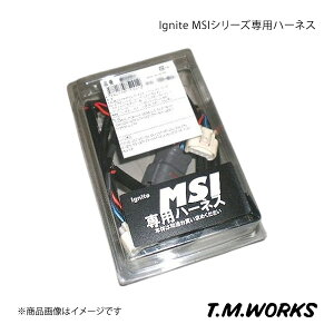T.M.WORKS eB[G[NX Ignite MSIV[Ypn[lX VrbN Type-R FL5 i:MS1082