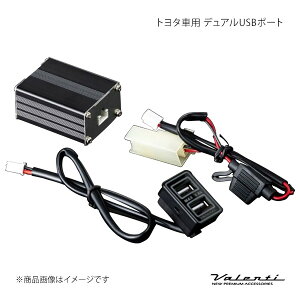 Valenti @eB g^ԗp fAUSB|[g vEX ZVW5# USB-01