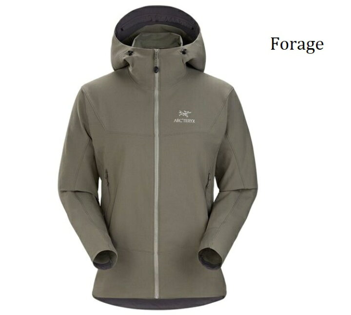 楽天市場】ARCTERYX アークテリクス 17307 Gamma LT Hoody ガンマ LT 