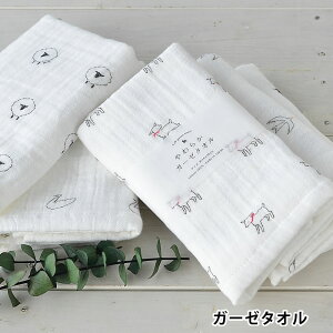 K[[^I ANVX 炩K[[^I M { M g K[[ xr[ 100 킢  oYj Mtg tFCX^I  r