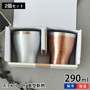 y111̓|Cgő10{ՁIz^u[ rAJbv yA 290ml XeX ^f ۉ ۗ Jbv Rbv bN Mtg  v[g ̓ ̓ o oYj hV