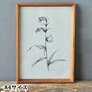 y121̓|Cgő10{ՁIztHgt[ `[Nt[ A4 A4TCY  ؐ AeB[N Ǌ| u ʐ^ 킢 ʐ^ Vv X^h ؖ k v[