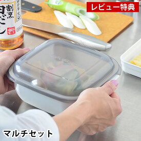 グルラボ マルチセット イワタニ 電子レンジ 調理器具 GLB-MS オーブン対応 食洗機対応 耐熱容器 スチーマー 蒸し器 冷凍 保存容器 レンジ 時短 無水調理 調理 簡単 iwatani