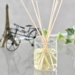 tolewa g fBt[U[ [hfBt[U[ KX KX{g 100ml WX~u[P ^XeBbN x_[EbfB [YVgX {  Vv 