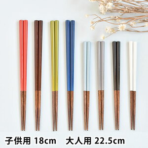 p  qp18cm/lp22.5cm TCt  H@Ή ͂  Jg[ n`JNgETC { p^ ~ eq  jp VR Vv ₷ H q