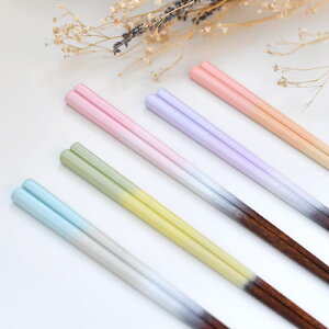 ق  23cm TCt  H@Ή { ͂  Jg[ ~ jp  pXeJ[ 킢   H qp ig S5F