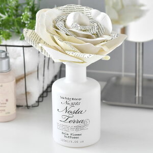 mX^ \fBt[U[ 120ml mX^t[ [tOX A}fBt[U[  VbN   킢 rO 120ml i`    CeA  