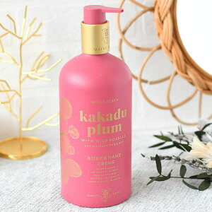 }Cr[` JJhDv nh{fB[V 500ml {fB[V nh[V zzoV[hIC I[KjbN 500ml VR 킢   {fBPA XLP