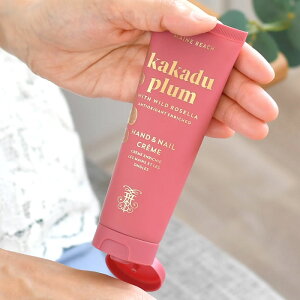 }Cr[` JJhDv nhlCN[ 100ml nhN[ lCN[ I[KjbN zzoV[hIC 100ml  Mtg lC   X[p[t[c ێ 