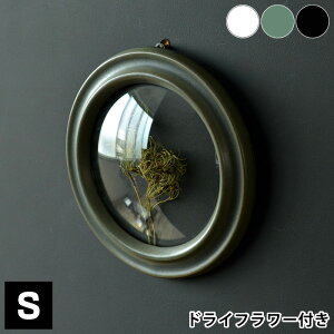 Convex �K���X�P�[�X S�T�C�Y [�h���C�t�����[�t��] �h���C�t�����[ �Ǐ��� �Ǌ|�� �C���e���A �f�B�X�v���C�K���X �P�[�X �u���b�N �z���C�g �O���[�� ���{�� ���� �v���[���g ���蕨 �M�t�g W