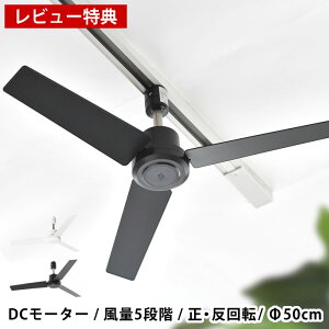 yr[TtzDUCT RAIL FAN _Ng[t@ DC[^[ vX 50 _Ng[t@ t@ T[L[^[ ȒPt Rt ʒ Cz rO V v
