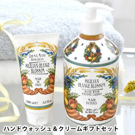 【8月5日はポイント最大10倍祭】ル・マヨルカ ハンドウォッシュ＆クリーム ギフトセット 石鹸 ハンドソープ ハンドクリーム ギフト ギフトセット おしゃれ 人気 潤い 美肌 フレグランス プレゼント かわいい 女性 アロエ クエン酸 アロマ 優しい 香り 優雅