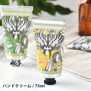 y1015̓|Cgő10{ՁIzCObV\[vJpj[ nhN[ 75ml nhN[ Mtg nhN[ v[g  ێ pxt[ VAo^[ CM