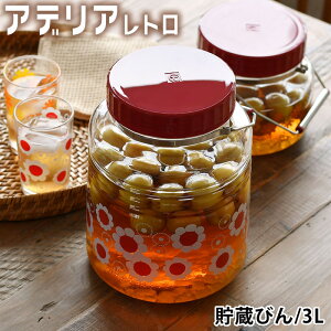 y|Cgő10{Ձ11/11 1:59܂ŁzAfAg т 3L [ht LjX^[ ۑe Ăт ~r ʎ т KXr { 3bg ی^ t Jێq 