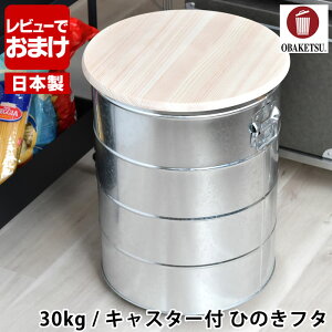 yr[TtzĂт OBAKETSU IoPc CXXgbJ[ 30kg LX^[t Ђ̂t^ yʃJbvt ۑe CX{bNX LX^[ { k g^ ΂  