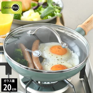 �t���C�p�� �W GREENPAN �O���[���p�� �X�e�����X�K���X�W 20cm �t���C�p�� �ӂ� �O���[���p�� �t���C�p�� �l�C �� �t���C�p���J�o�[ �L�b�`���p�i �v���[���g 20�Z���` �u�ߕ� �����K���X �V��