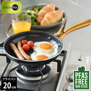 �t���C�p�� ih GREENPAN �O���[���p�� �t���C�p�� 20cm �X�g�D�f�B�I �O���[���p�� �t���C�p�� IH�Ή� �_�C�A�����h �Z���~�b�N �M�t�g ���蕨 IH �M�`�� �u���b�N �K�X PFAS FREE �K�X�� �m���X�e�B