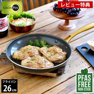 yr[Ttz tCp ih 26cm GREENPAN O[p tCp 26cm XgDfBI O[p tCp IHΉ  KX _CAh IH M` tbfHȂ PFAS FREE Mt