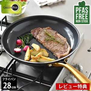 yr[Ttz tCp 28cm ih GREENPAN O[p tCp 28cm XgDfBI O[p tCp tbfHȂ 28cm S _CAh Mtg  M` ubN 
