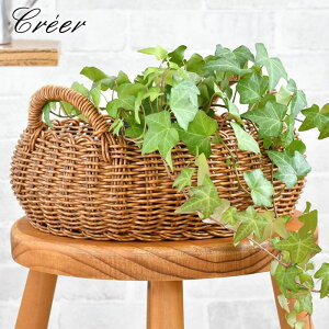 y121̓|Cgő10{ՁIzNG creer eB Eh[oXPbgL oXPbg  oXPbg k [ [ Lb` nhCh  rO Jo[ 