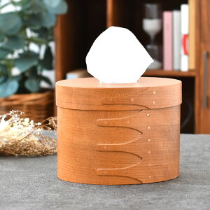 y|Cgő10{Ձ11/11 1:59܂ŁzeBbVP[X  ANVX AXCIS VF[J[eBbV{bNX  CeA RpNg 킢 k VF[J[{bNX i` M