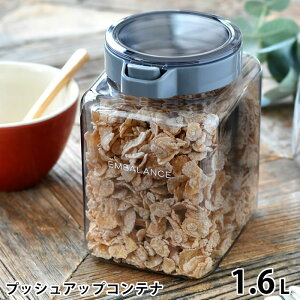 ۑe  GoX vbVAbvRei 1.6L Hi ۑ P[X vbV e p^ Lb` [ R[q[    BPAt[ H@Ή Wt UVJbg EMBALANCE N