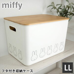 [P[X ߗ ~btB[ ou[ӂt [P[X LLTCY [{bNX ӂt ߑP[X 킢 Ȃ   q i` Vv  rO C